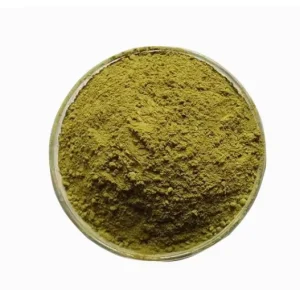 100% Pure Organic Henna Powder Premium Quality Chemical-Free Natural Dye for Hair & Mehndi Permanent Makeup Accessory for Sale