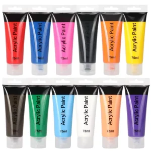 12 Colors 75ml Acrylic Non-Toxic Pigments Paints Sets Acrylic Paint Kit for Artists Painters