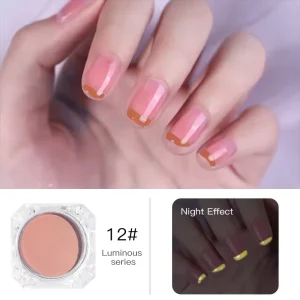 12 Colors Glow in the Dark Luminous Pigment Night Glow Powder for Nails Resin and Crafts