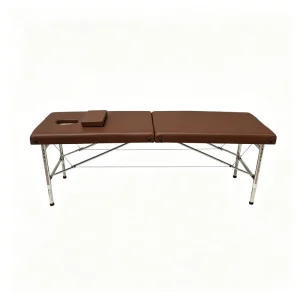 2 Section Massage Table Portable Foldable Stainless Steel Spa Bed for Beauty