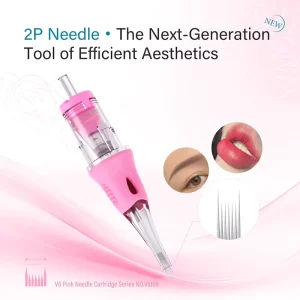 2P Needle Fast Coloring Nano Needle Cartridge Professional Permanent Makeup PMU Needles Stainless Steel Disposable OEM