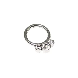 316L Surgical Steel Gold Plated Jeweled Hinged Segment Ring CZ Body Piercing Jewelry Highly Polished Gift