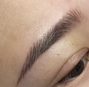 3D Powder Eyebrows Permanent Makeup Pigments