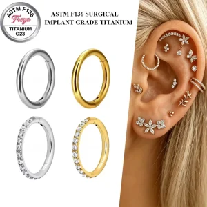 ASTM F136 Titanium Hinged Zircon Segment Nose Ring Septum Clickers Hoop Earrings Daith Lelix Body Piercing Jewelry