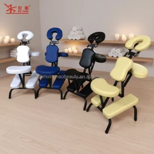 Adjustable Folding Metal Tattoo Chair Professional Portable Massage Bed for Lash Technician Facial Salon