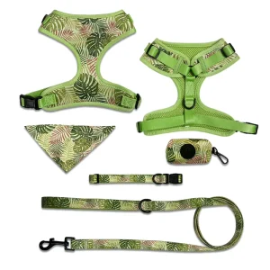 Adjustable Green Dog Harness with Leash Set for Daily Walking and Outdoor Training