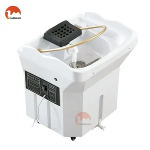 Beauty Salon Hair Washing Massage Portable Head Spa Equipment Mobile Shampoo Chair Basin Bowl