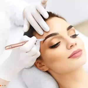 CE REACH EU Compliance Permanent Makeup Eyebrow Microblading Lip Blushing Powder Brow Tattoo Pigment Ink PMU Hybrid Pigment