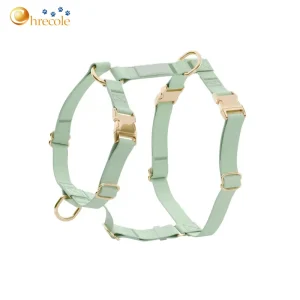 Custom Designer Luxury Premium Quality Waterproofed Neoprene Pvc Silicone Cute Dog Body Harness Collar Leash Set