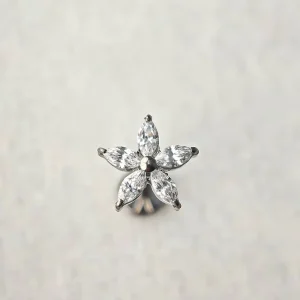 Custom G23 Titanium Piercing 16G Flower Cartilage Internal Thread Lobe Ear New Five Petal Flower Lip Earring Jewelry