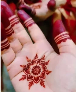 Custom Your Brand Maroon Black Red 10 Shades Cream Dip Plant Based Natural Indian Henna Paste Cones for Body Use