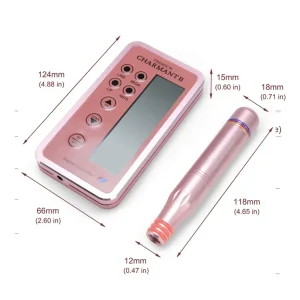Digital Permanent Makeup Machine Kit Microblading Pen for Eyebrow Lip with Cartridge Needle