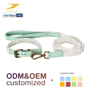 Durable Braided Nylon Rope Dog Collar Leash Set With Comfort Mint Leather Handle Antique Bronze Hardware Adjustable Pet Lead