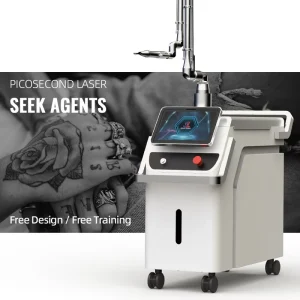 Facial Rejuvenation Tattoo Removal Machine NdYag Q Switched Picosecond Laser Stationary Commercial Use 2 Year