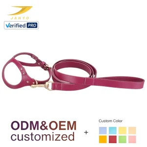 Factory Custom Logo Solid PU Leather Dog Harness Leash Combo Step in Easy Wear Design Gold Fittings Waterproof Pet Walking Kit