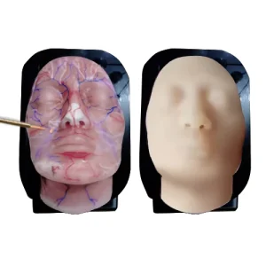 Female Face Silicone Lip Face Injection Science Product for Beauty Course Institute Training Mannequin