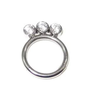 G23 Solid Titanium Jeweled Highly Polished Hinged Segment Ring Body Piercing Jewelry Zircon Gold Plated Wedding Gift