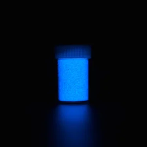 Glow in the Dark Pigment Phosphorescent Permanent Makeup Pigment Powder for Makeup Nail Crafts Art