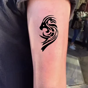 Herbal Plant Juice Ink Temporary Tattoo Stickers Waterproof Semi Permanent Body Art for Men and Women Tattoo Stencil