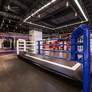 Load Reinforced Indoor Martial Arts Boxing Wrestling Ring for Daily Long Time Gym Training Use