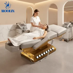 MOOLIN Luxury Multifunction Beauty Bed 4 Motor Massage Adjustable Backrest Legrest Electric Stainless Steel Bedroom Outdoor