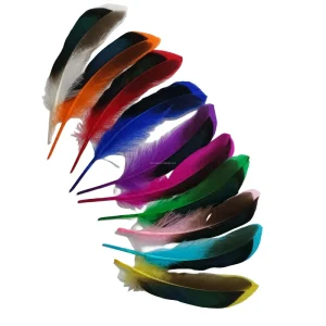 Mallard Duck Body Feather Iridescent Blue Mallard Duck Wing Feather for Wedding Decor Handicraft Accessories