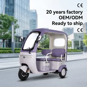 New Enclosed Electric Tricycle Cargo Ebike with Half Cabin Cute purple Design for Lady Pickup Child Shopping