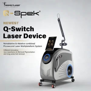 Perfectlaser Diaphragm Self Priming Pump Picosend Laser Machine Q-switched Tattoo Removal Machine Salon Use