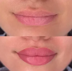 Permanent Makeup Pigment Tattoo Ink Micropigmentation for Machine