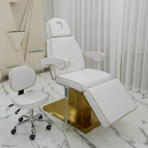 Salon Furniture Cosmetic Tattoo Chair Gold Massage Table Electric Beauty Bed