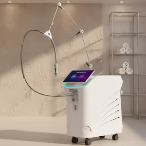 Standing Alexandrite Laser 532 755 1064 Stationary Salon Use Beauty Equipment Tattoo Skin Removal Machine