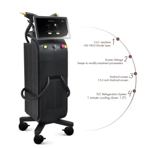 Two-in-One NdYAG Laser Device and Diode Laser Painless Hair Removal for the Treatment of Melasma and Skin Whitening