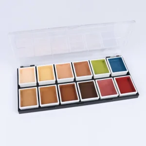 Waterproof Long Time Lasting Temporary Black 10g Alcohol Activated FX Makeup Face Paint Palette Skin and Base Colors